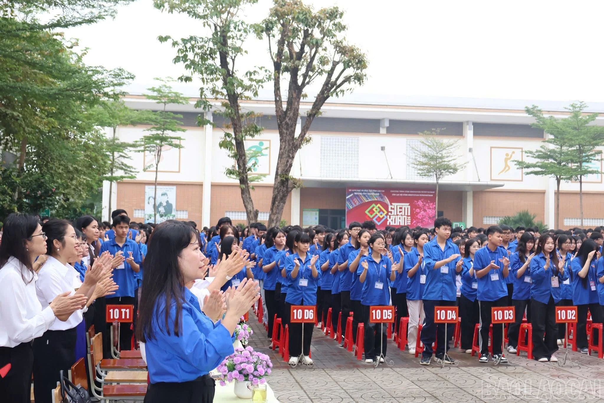 baolaocai-br_z7661480201947-6c801193aff8a0d5b43eafeb2561242c.jpg