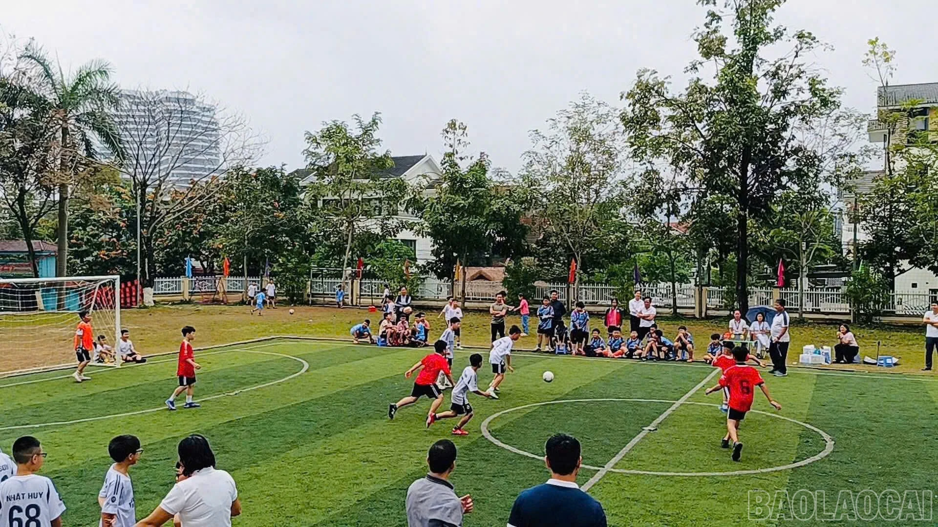 baolaocai-br_z7661421030987-d4b1c98b515450b0301bed9458d48b07.jpg
