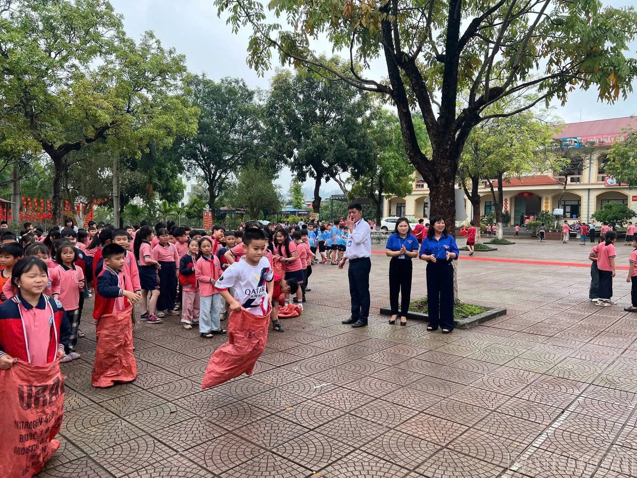 baolaocai-br_z7661421033406-b148d3bc1e5178e568c914e404931873.jpg
