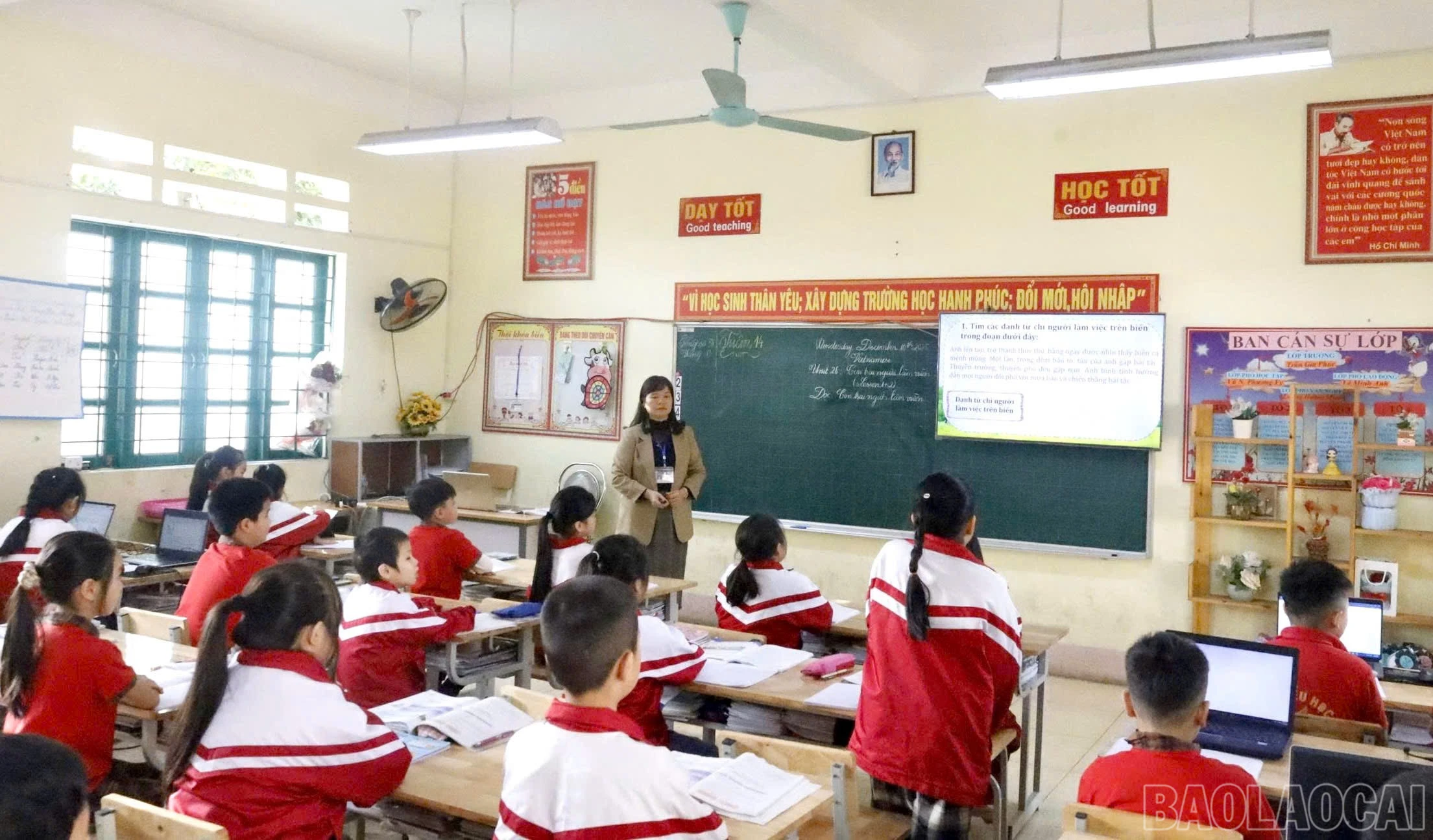 baolaocai-br_z7494802989540-ed303333be333eaa891aa61e92236bfa.jpg