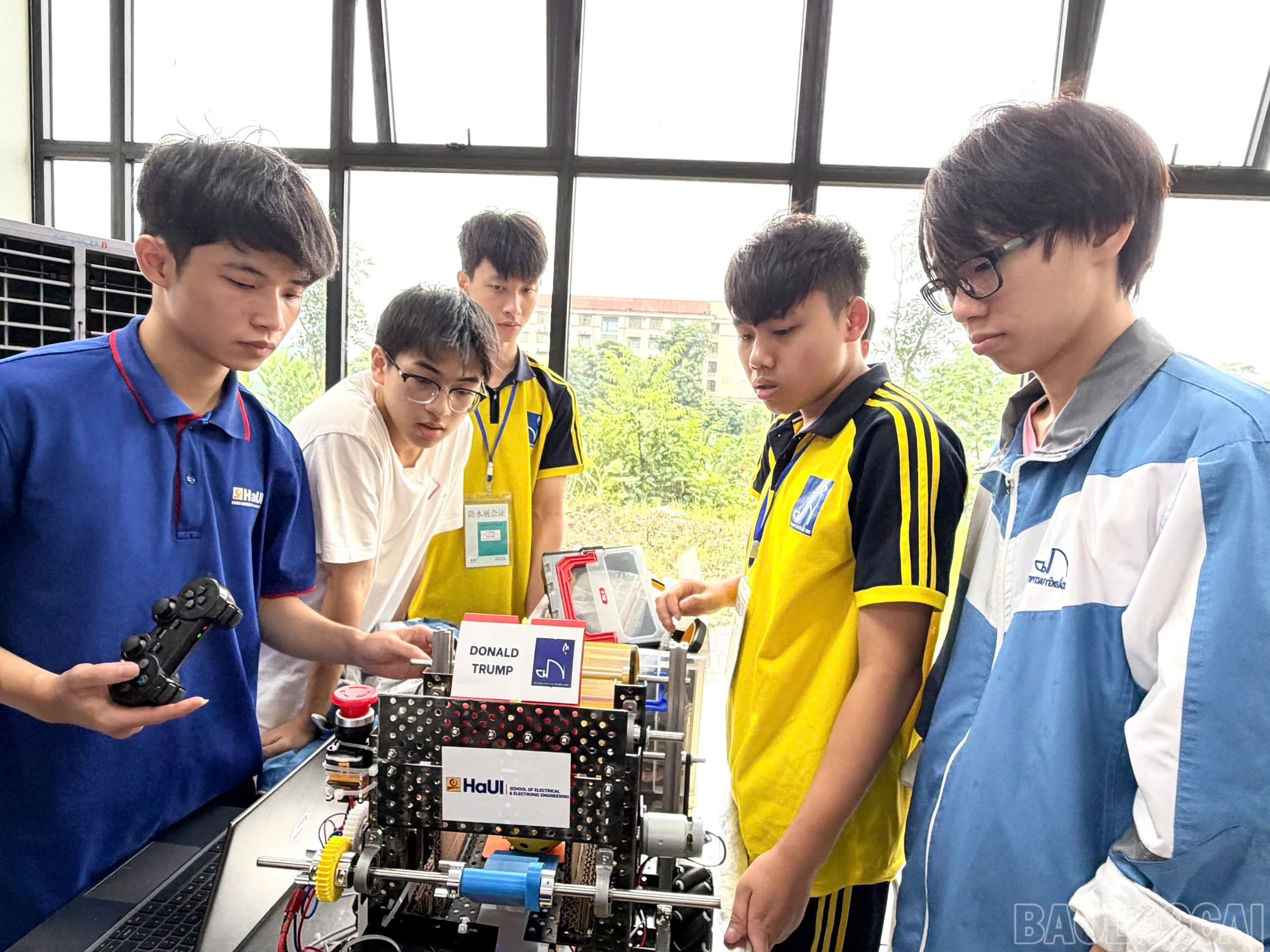 baolaocai-br_1786078908736-1990624821983247676-4362648308235759895-d119ea29fbf7c1553cab08cf81fa7e57.jpg
