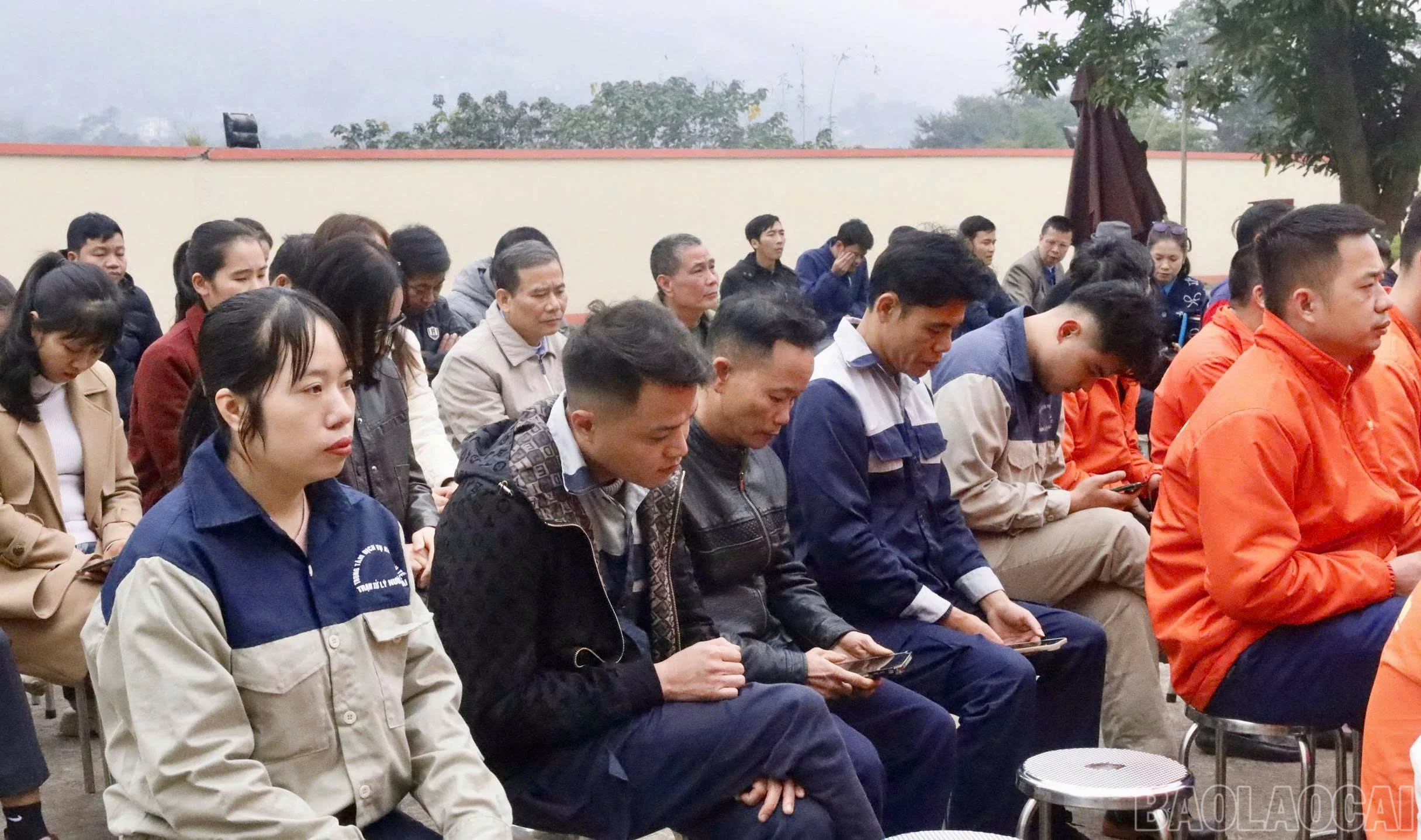 baolaocai-br_z7501092755514-89333b043bee5bcd7100f80e62c1bf40.jpg