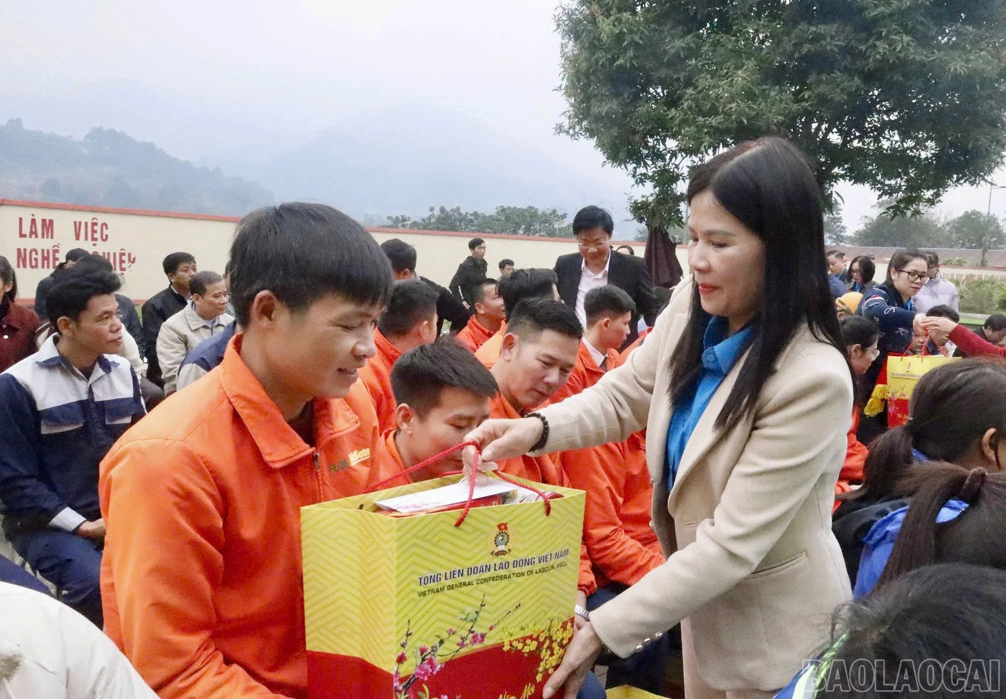 baolaocai-br_z7501092744361-2f6a7cebecf552a063586329799e87e1.jpg