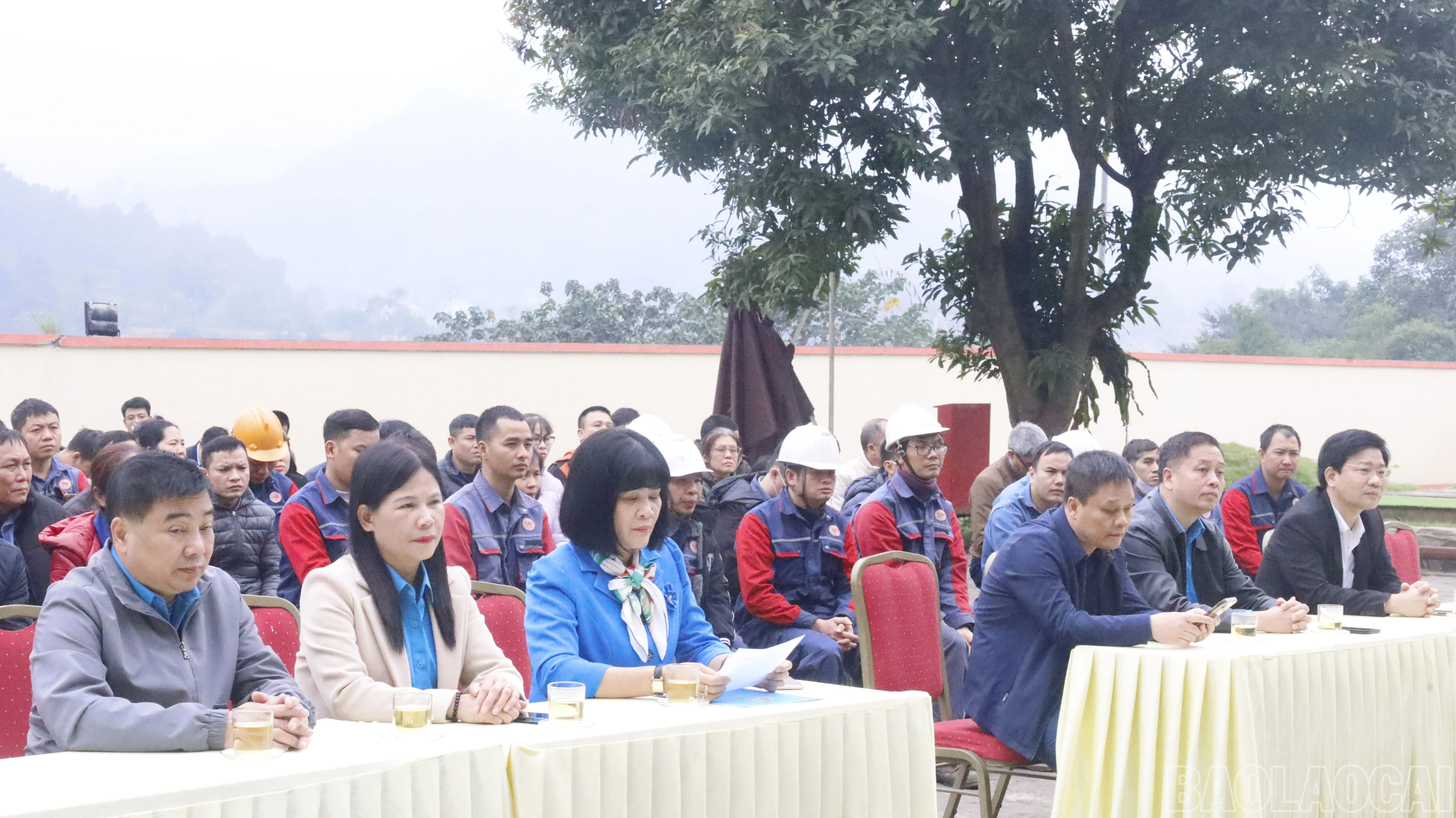 baolaocai-br_mg-2499.jpg