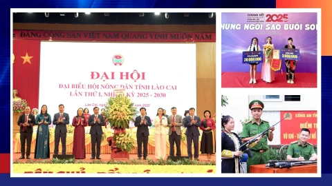 Điểm tin thời sự trong ngày 15/12