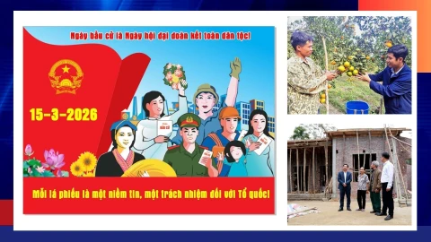  Điểm tin thời sự trong ngày 7/12