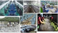 Tổng Bí thư Tô Lâm và tư duy lý luận mới về kinh tế tư nhân