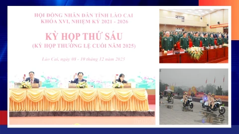 Điểm tin thời sự trong tuần từ ngày 8 - 14/12