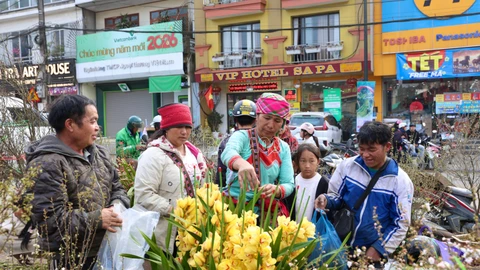[Ảnh] Nhộn nhịp chợ hoa Sa Pa