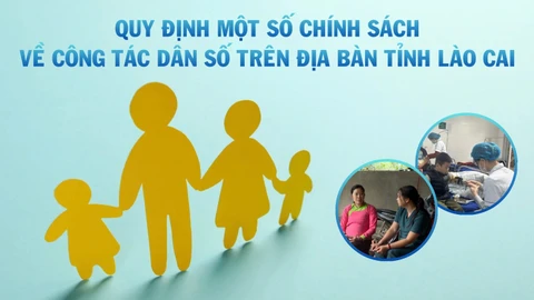 [Infographic] Quy định một số chính sách về công tác dân số trên địa bàn tỉnh Lào Cai