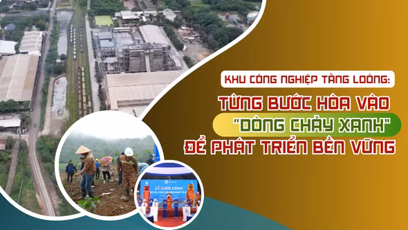 Từng bước hòa vào “dòng chảy xanh” để phát triển bền vững