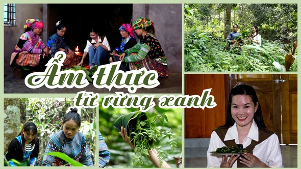 Ẩm thực từ rừng xanh