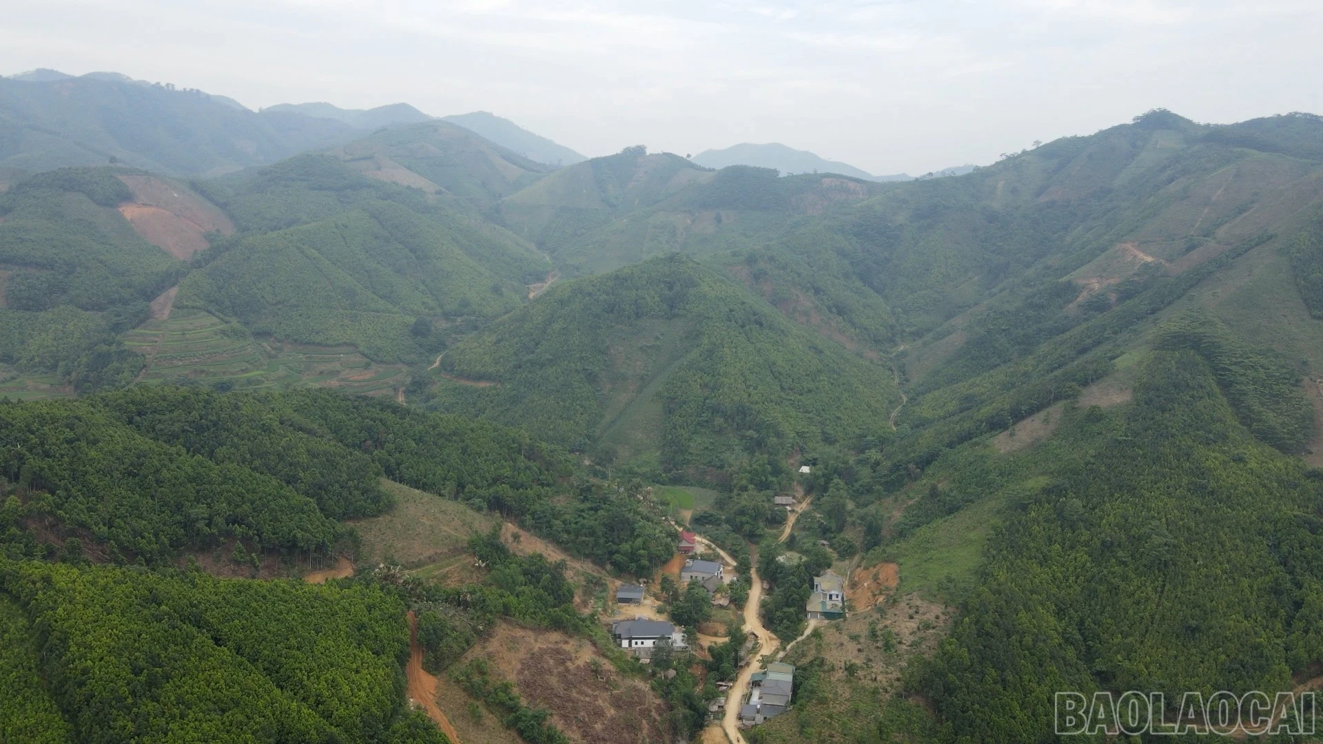 baolaocai-br_b4.jpg