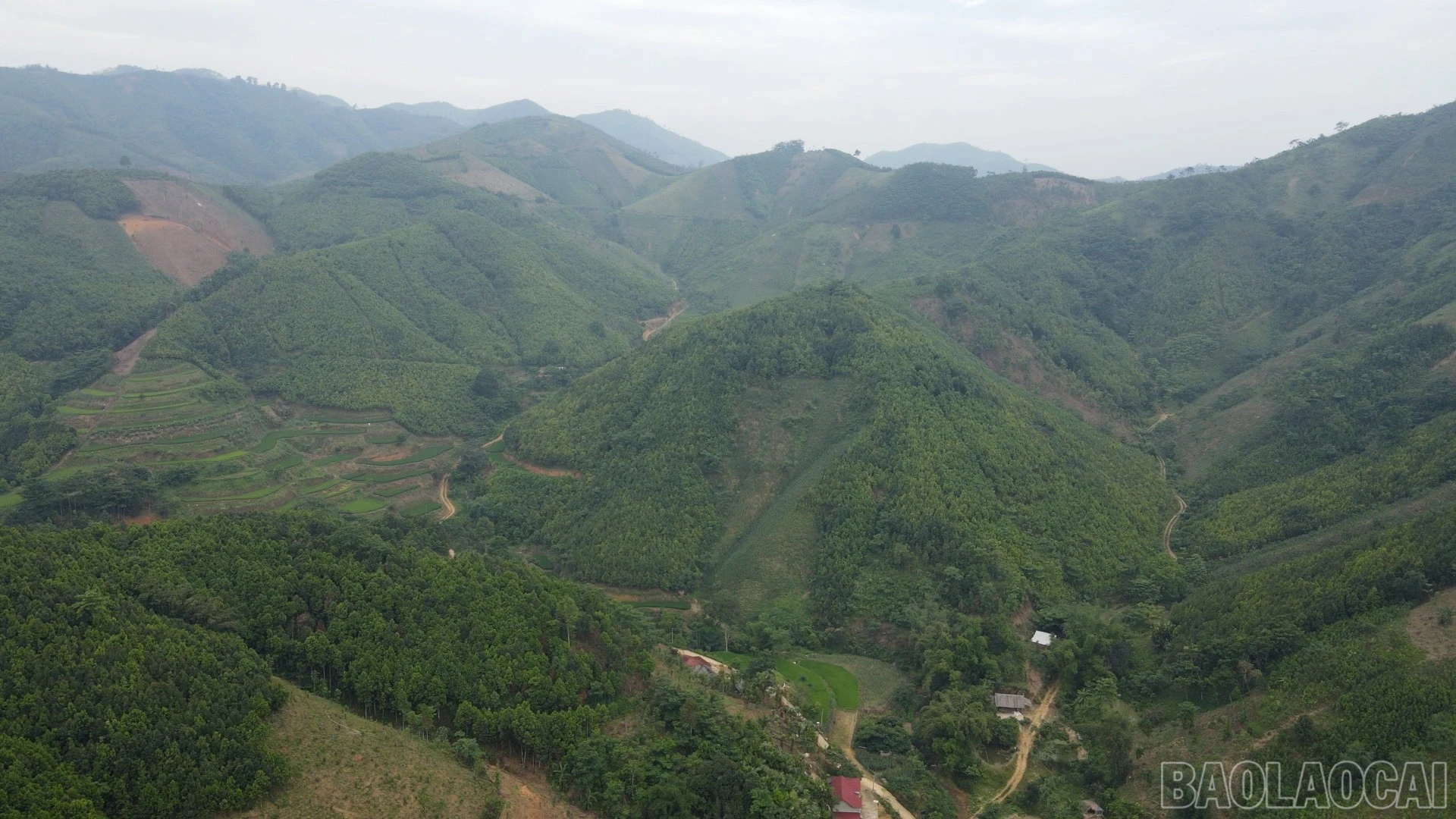 baolaocai-br_b9.jpg