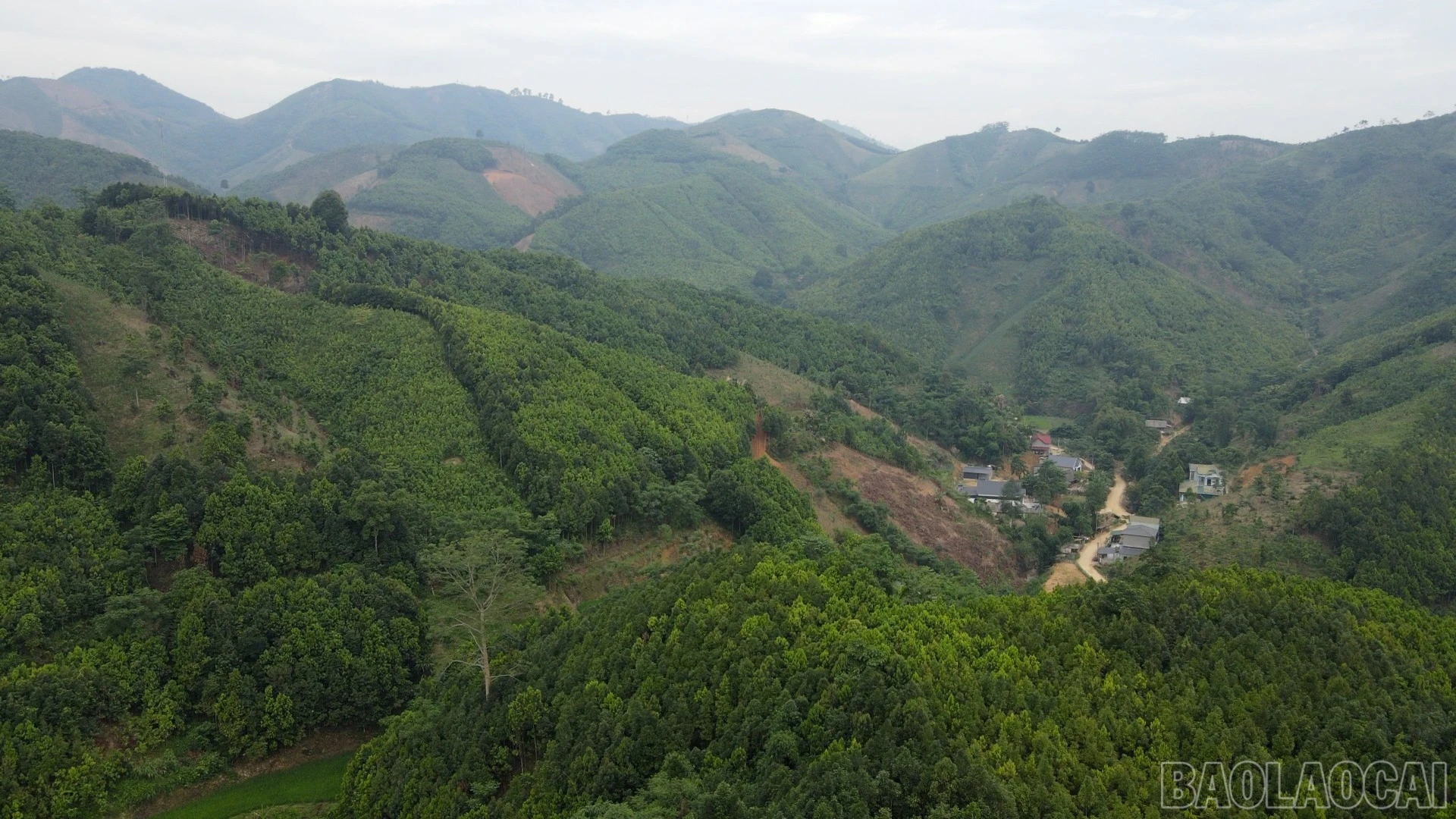 baolaocai-br_b11.jpg