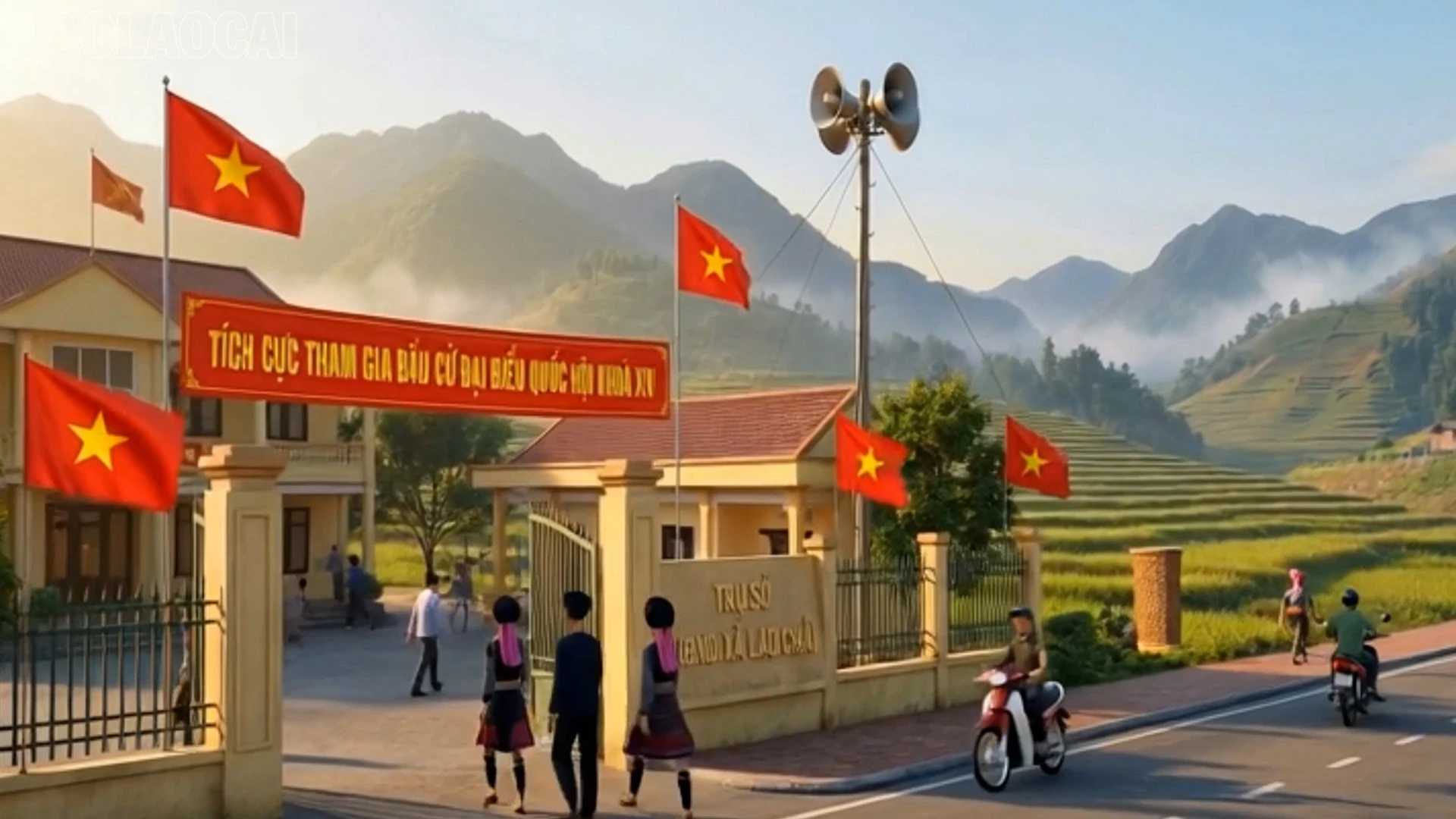 baolaocai-tl_a1.jpg