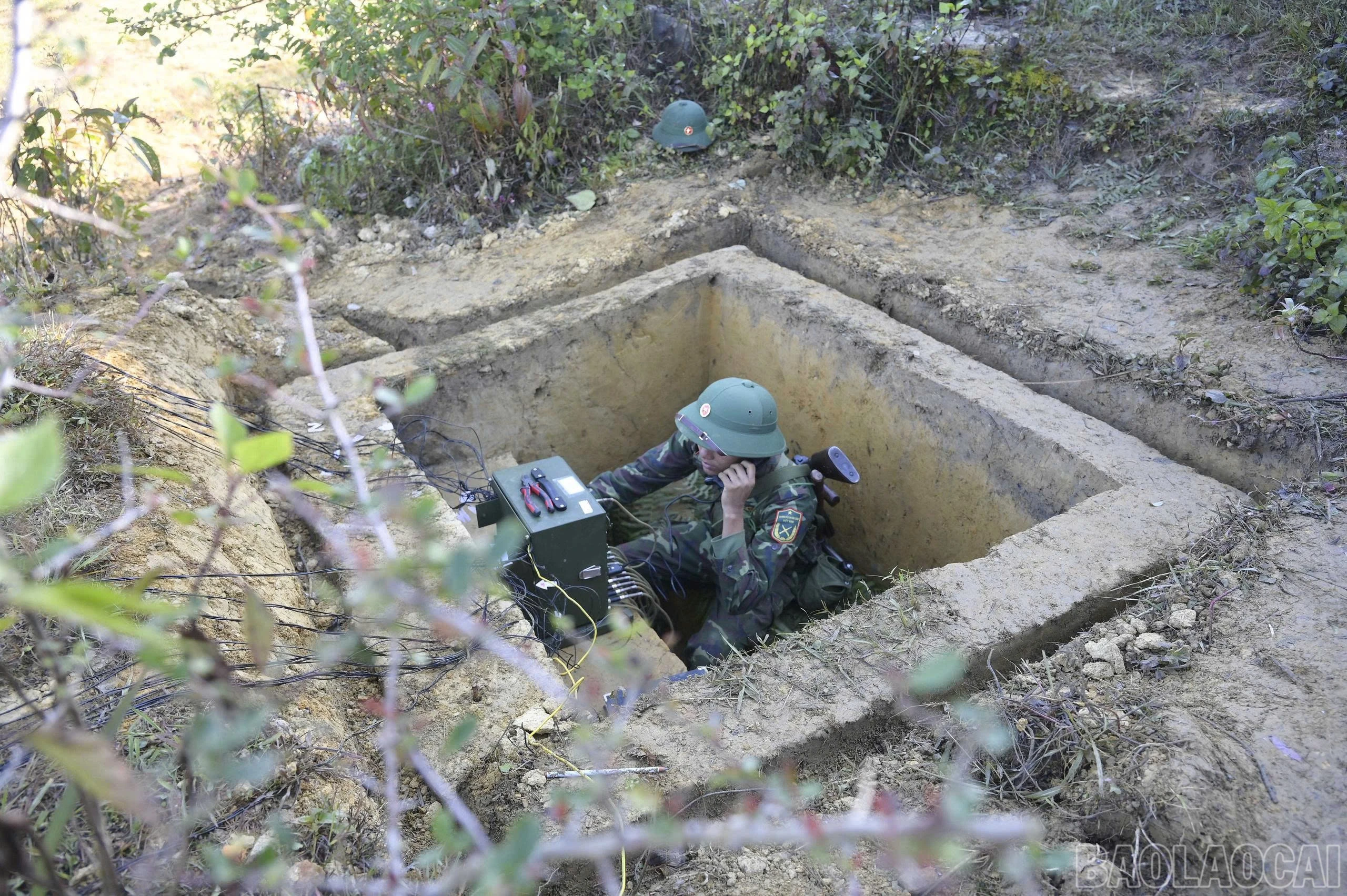 baolaocai-br_7.jpg
