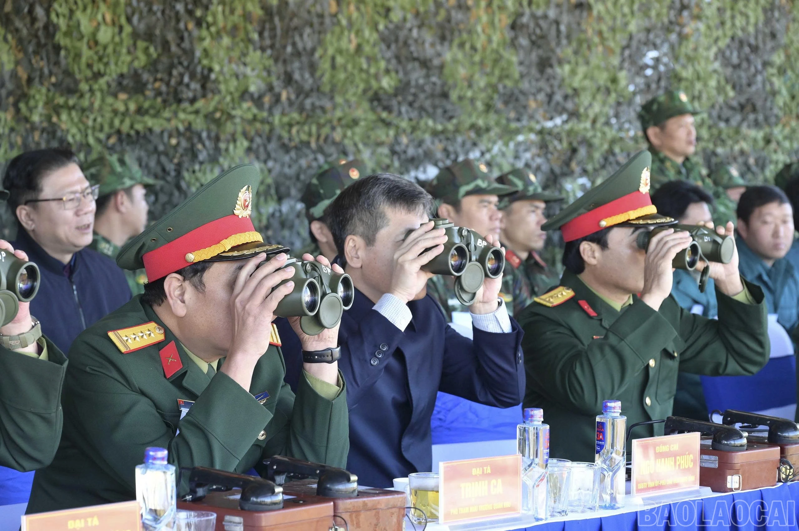 baolaocai-br_6.jpg
