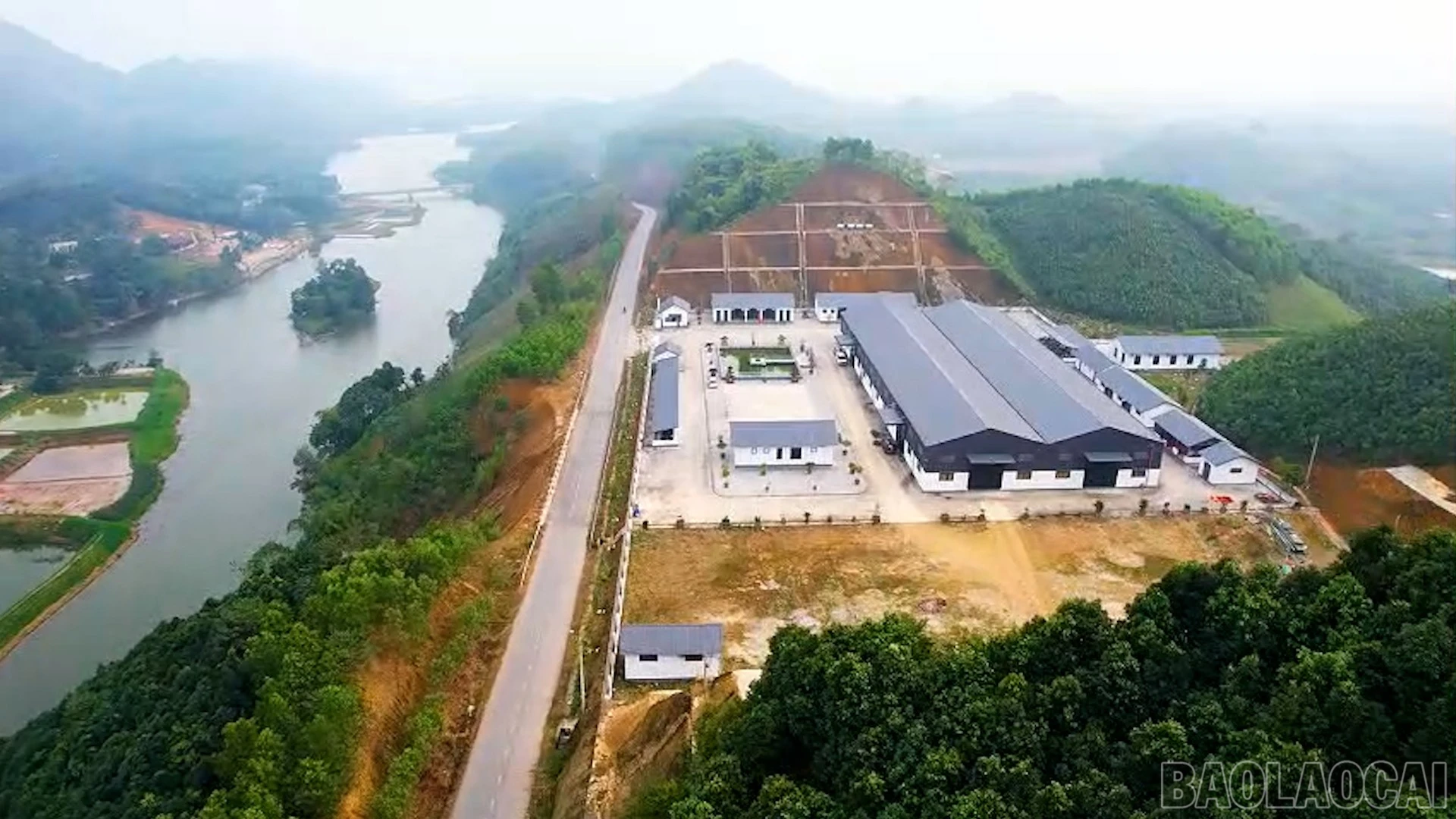 baolaocai-br_a5.jpg