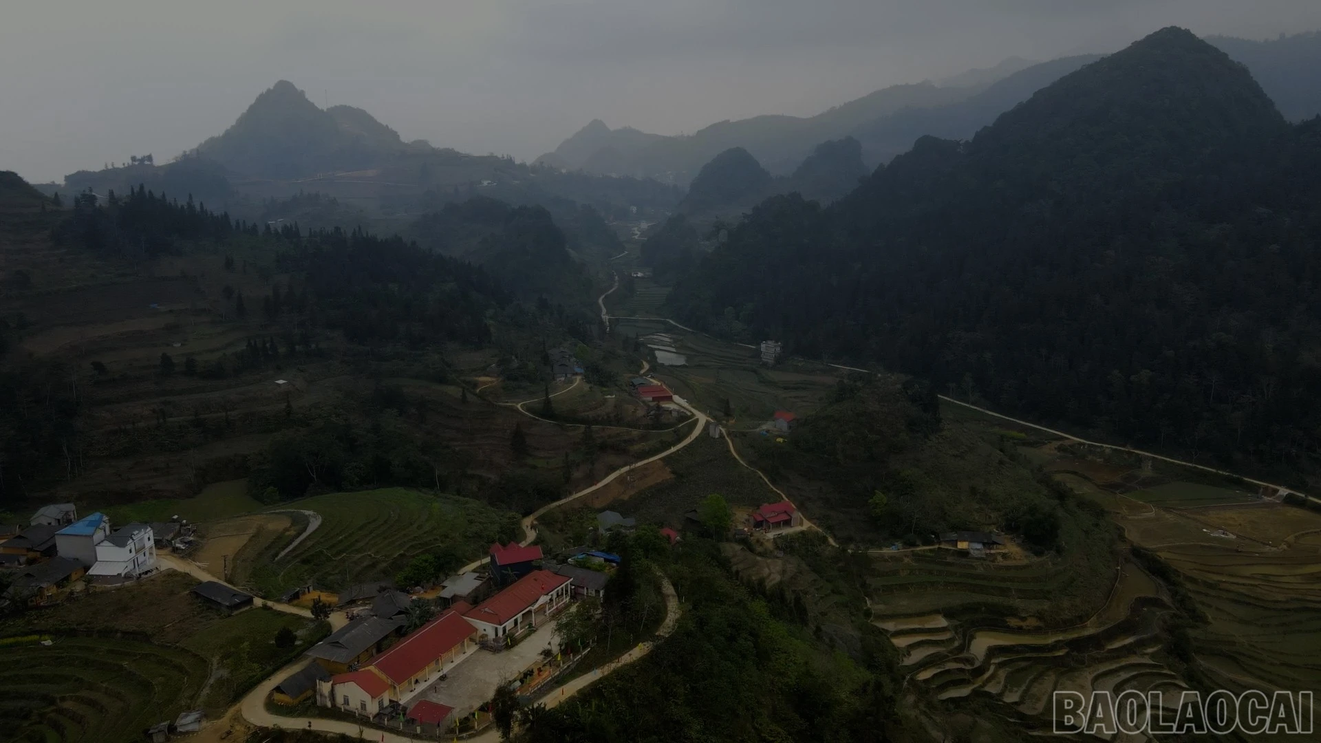 baolaocai-br_a333.jpg
