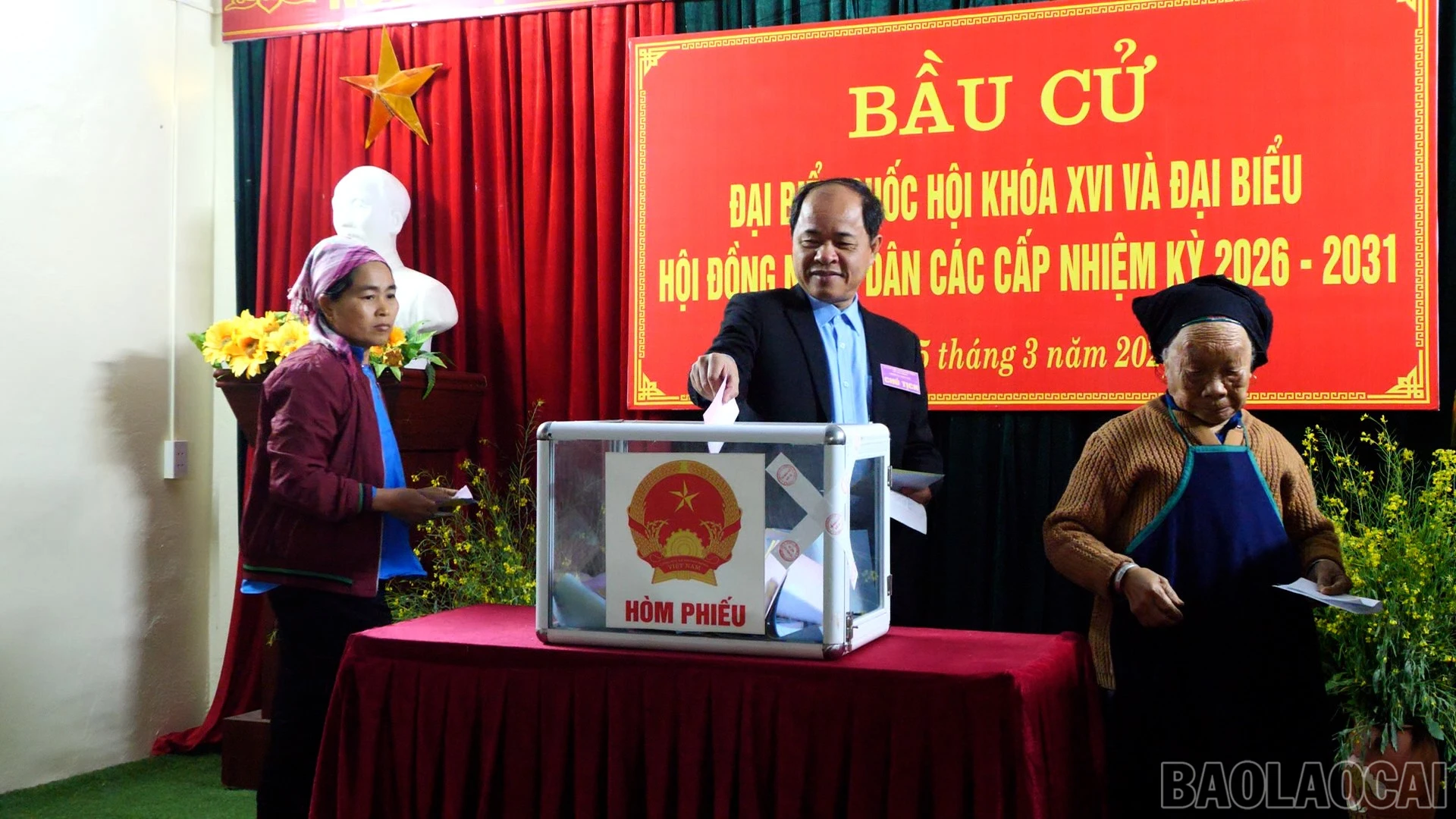 baolaocai-br_a443.jpg