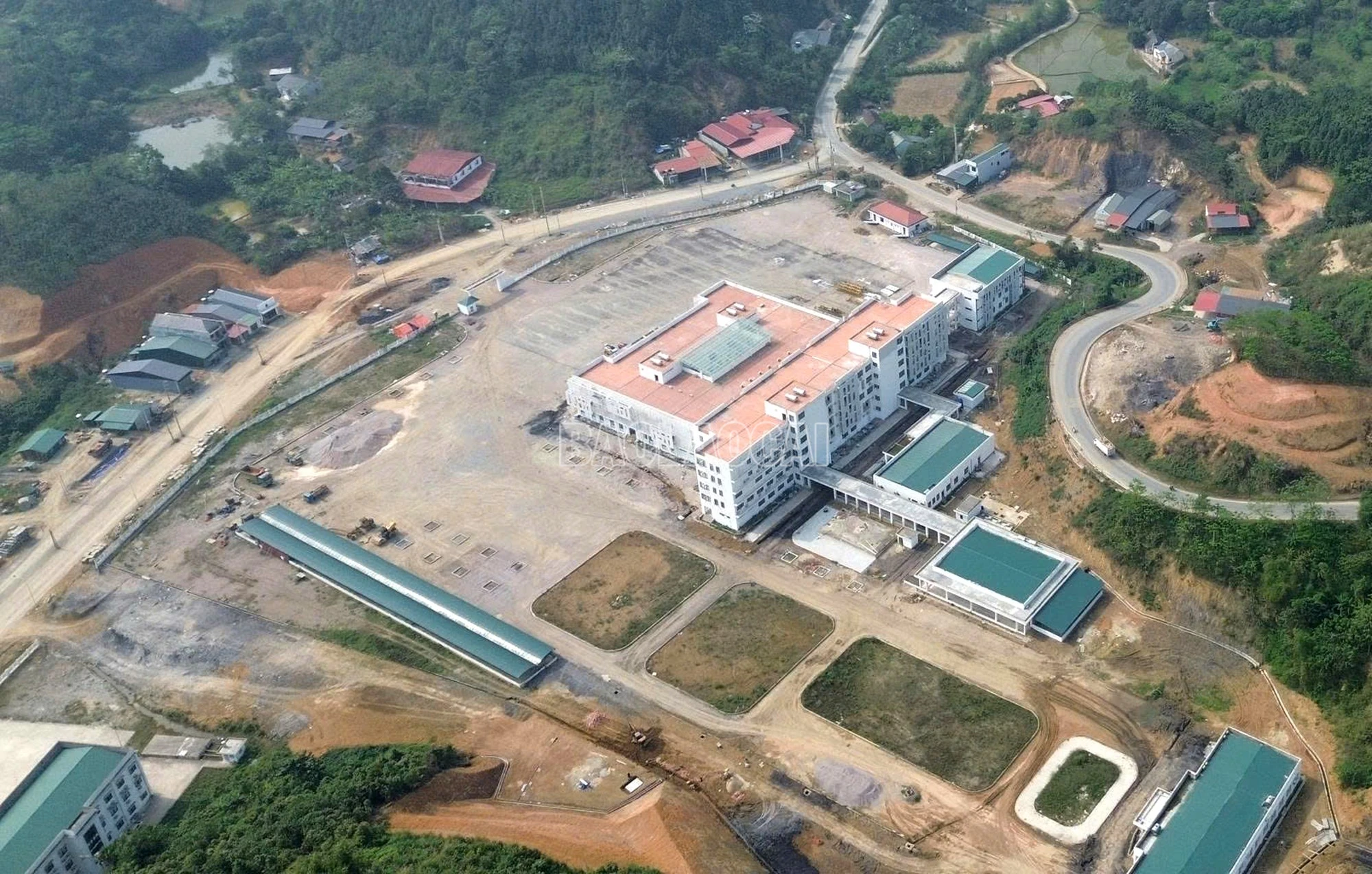 baolaocai-c_111111.jpg
