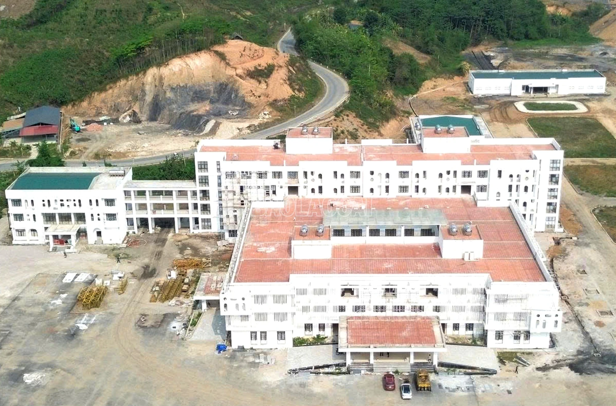 baolaocai-c_222222.jpg