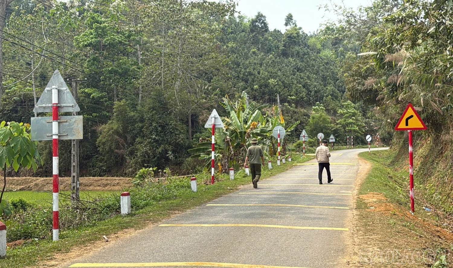 baolaocai-br_8.jpg