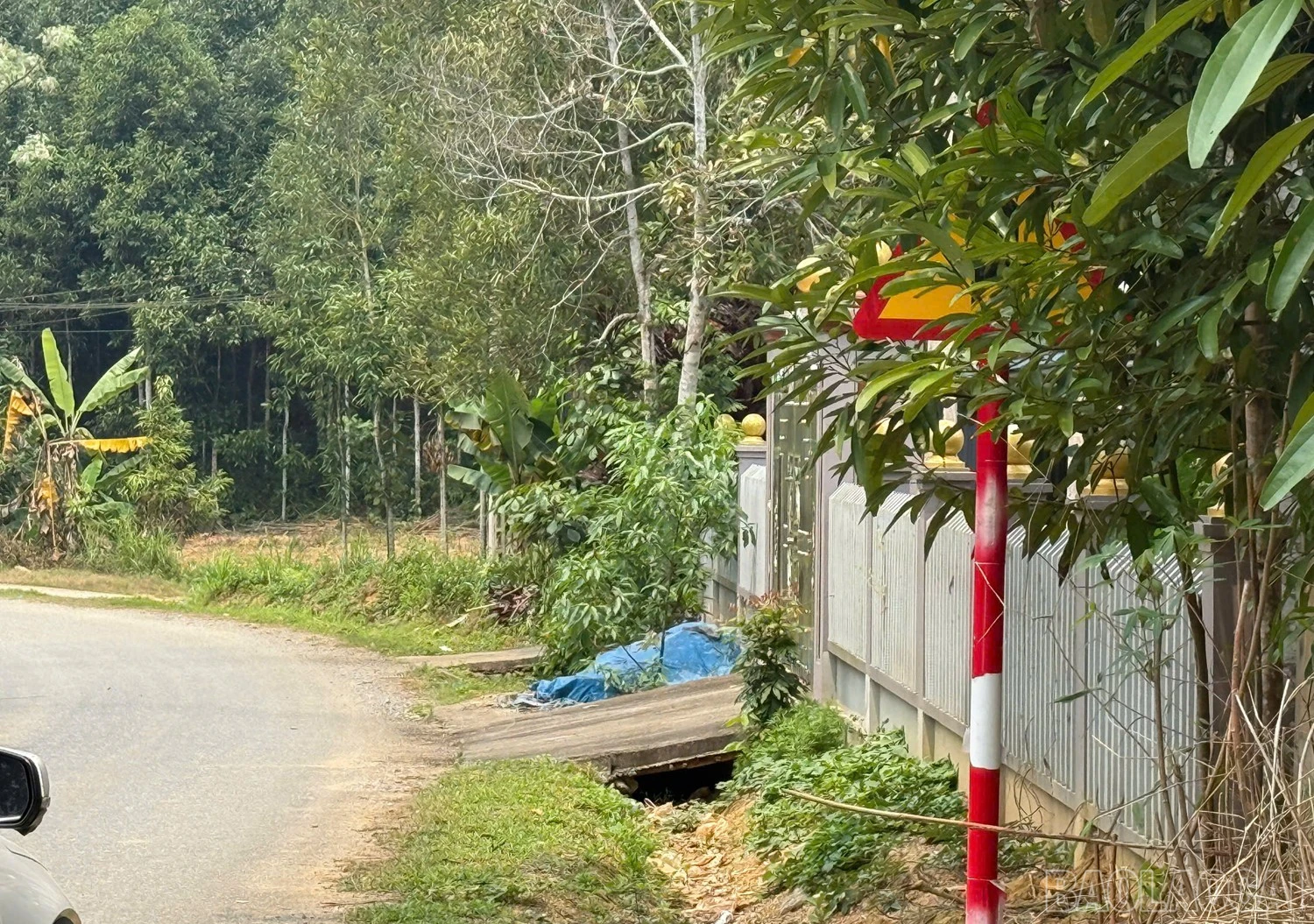 baolaocai-br_7.jpg