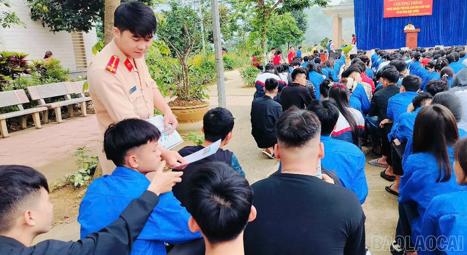 baolaocai-br_2.jpg