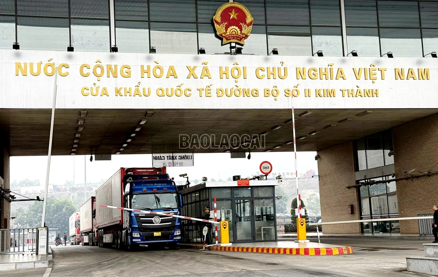 baolaocai-c_z6553209726248-df186d0b59a3effce65e873e1d889322.jpg