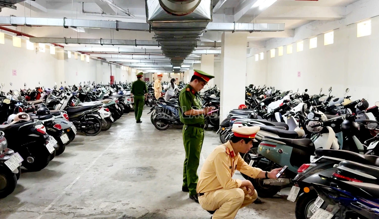 baolaocai-c_z6517889612660-67c75d61372d7ad5e1d975c8c3e145e6.jpg