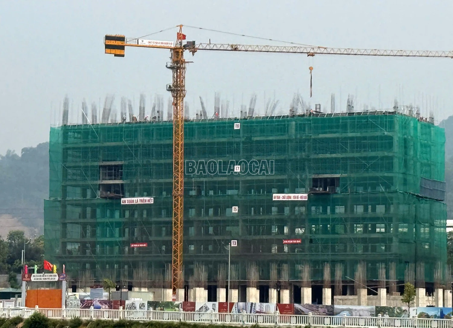 baolaocai-c_z6523279269727-bfeb67b7bc47624958d5f76db0a81f18.jpg