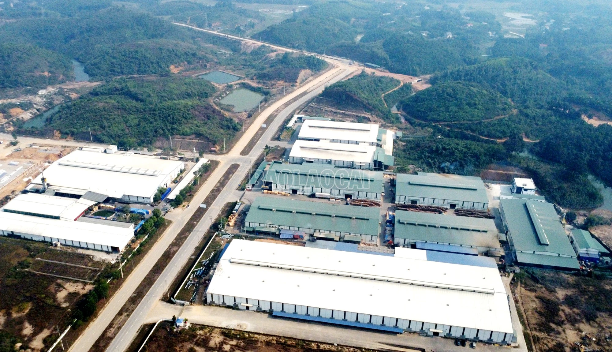 baolaocai-c_dji-0792.jpg