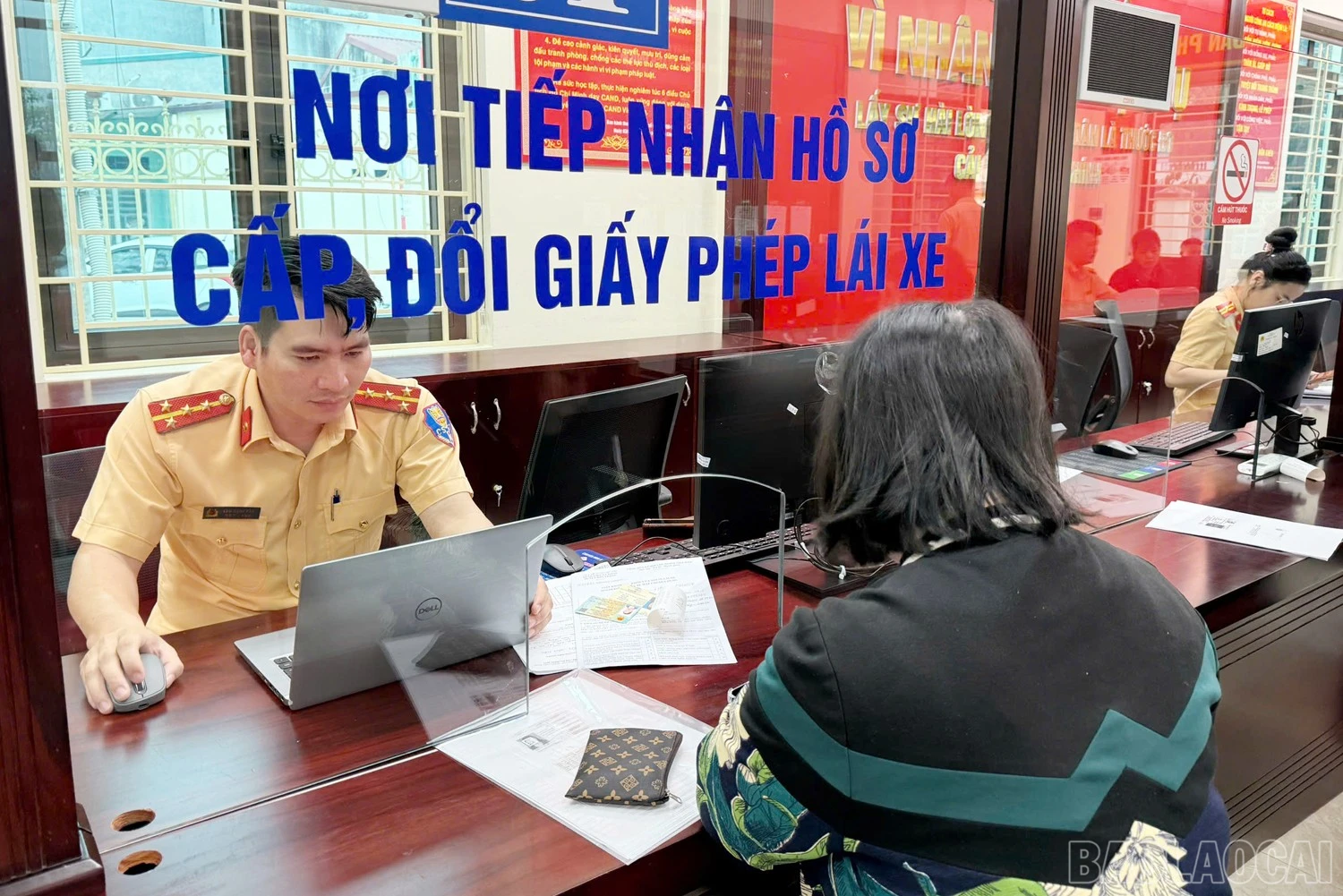 baolaocai-br_33.jpg