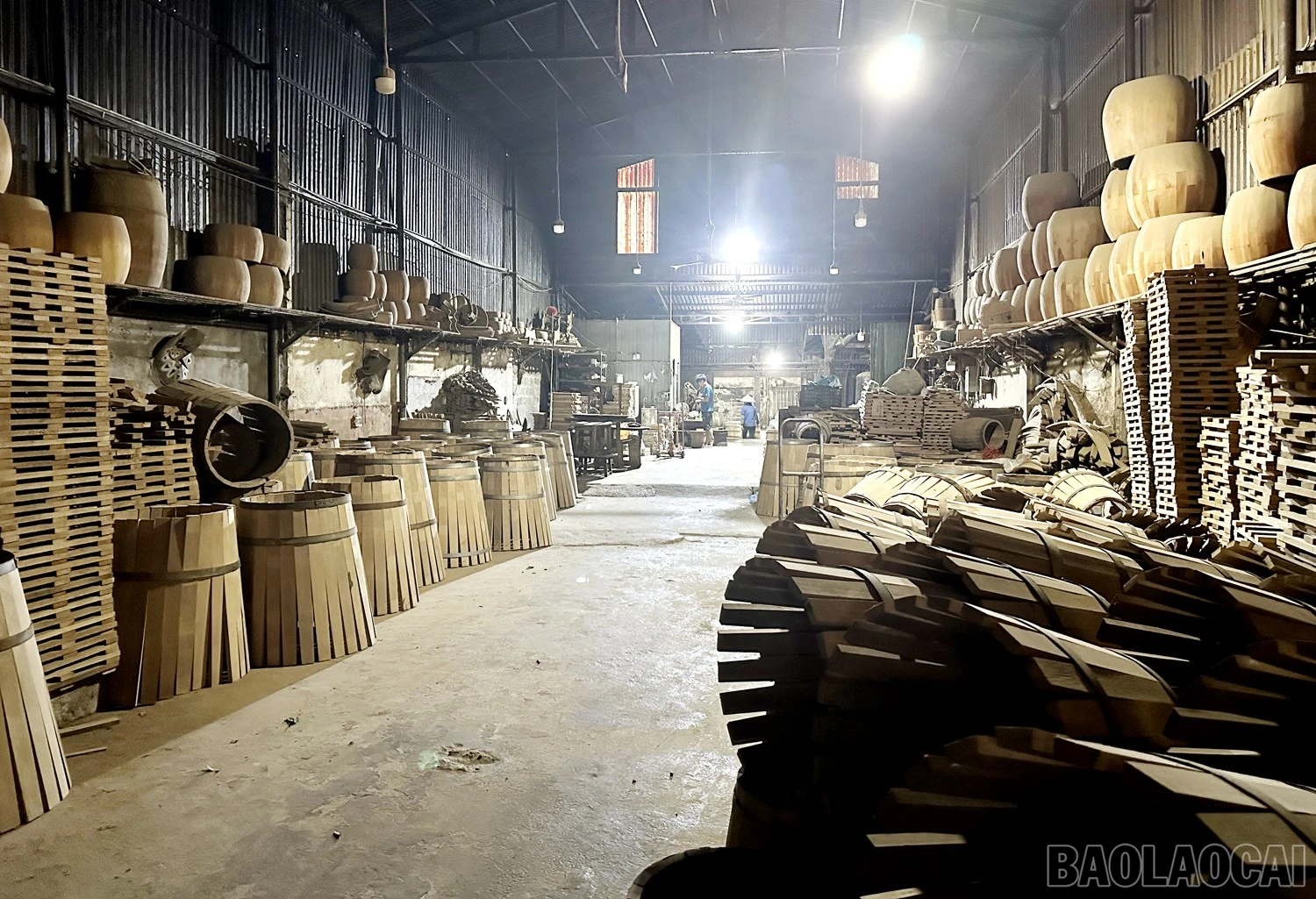 baolaocai-br_img-8890.jpg