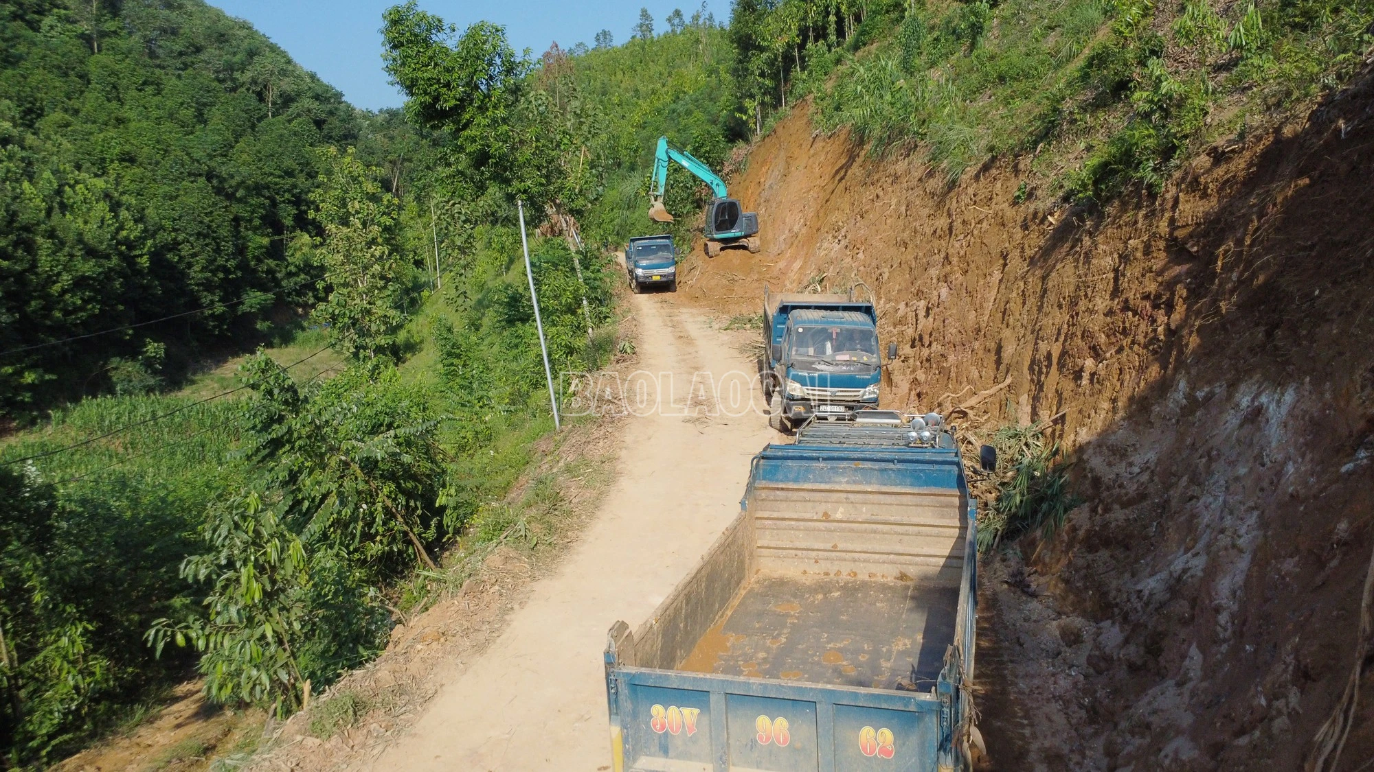baolaocai-c_dji-0294.jpg