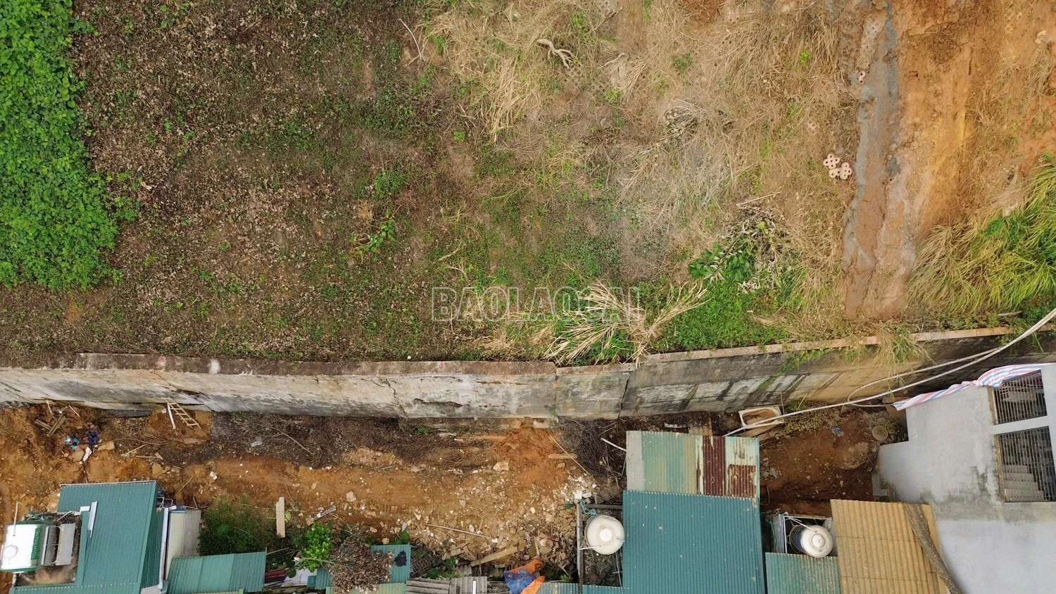 baolaocai-c_z7173854318353-63736d5622c37466f5b34e53c3af2928.jpg
