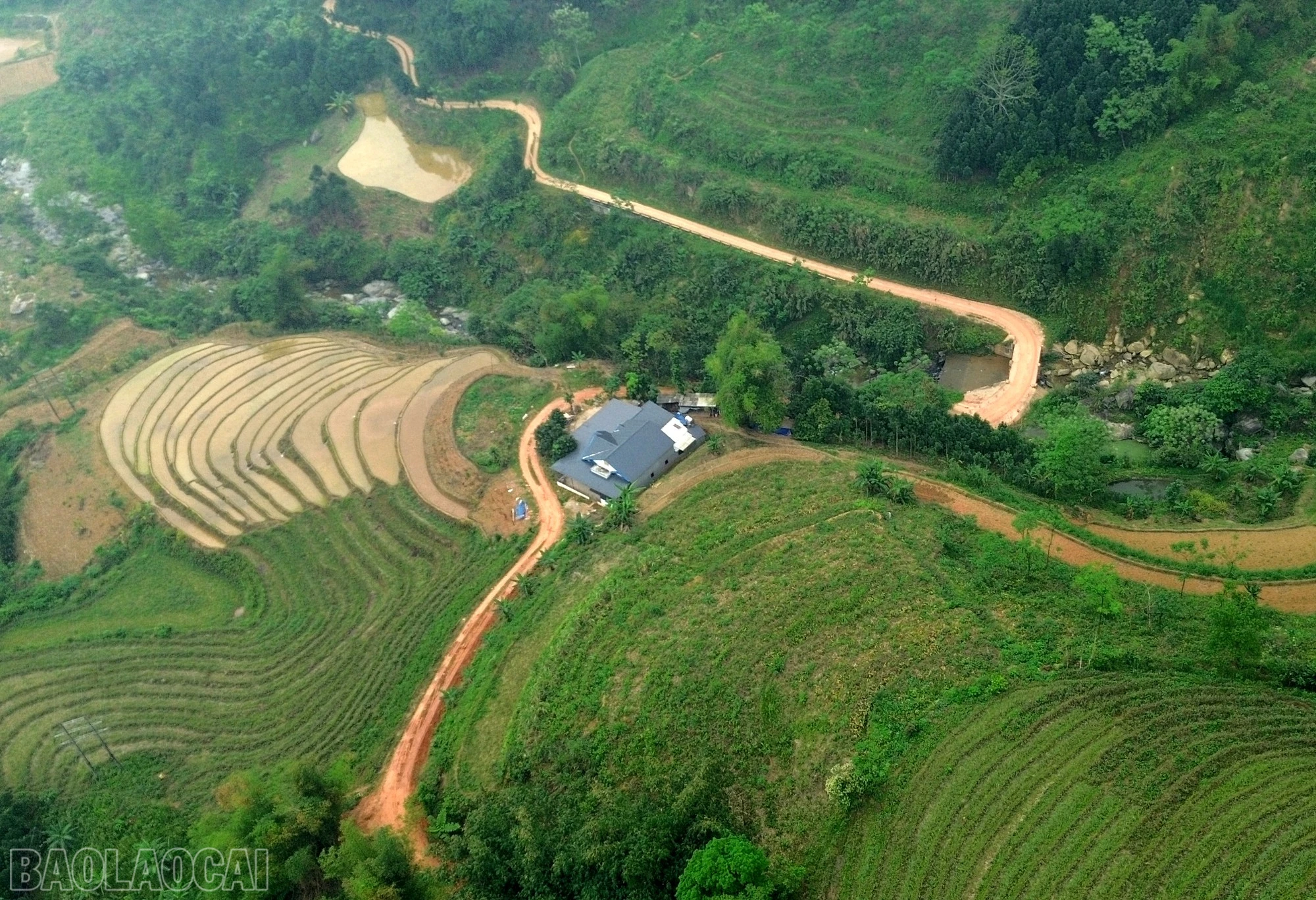 baolaocai-bl_dji-0348.jpg