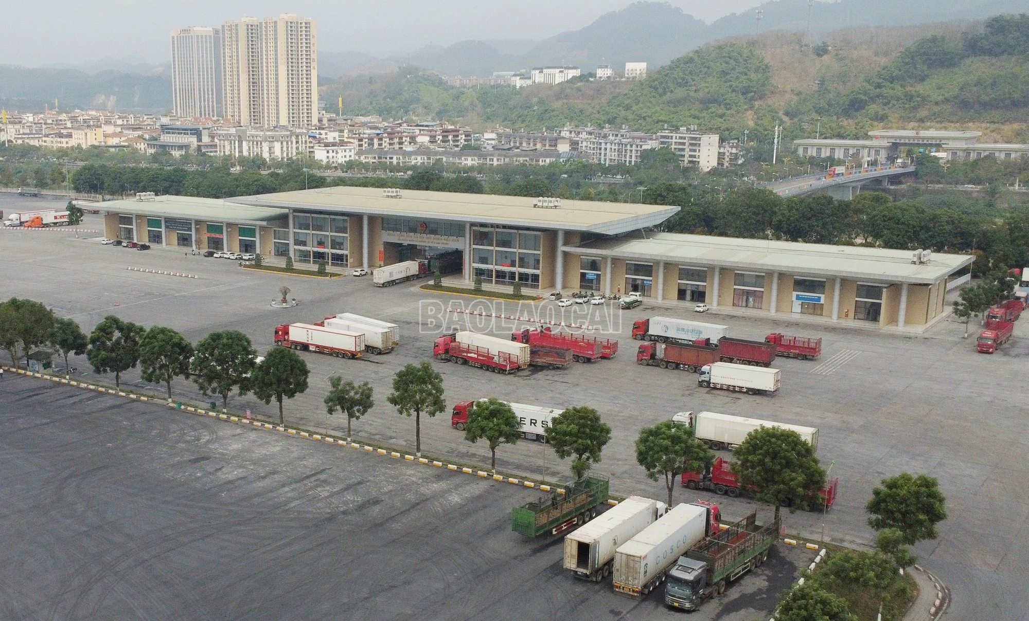 baolaocai-c_dji-0948.jpg