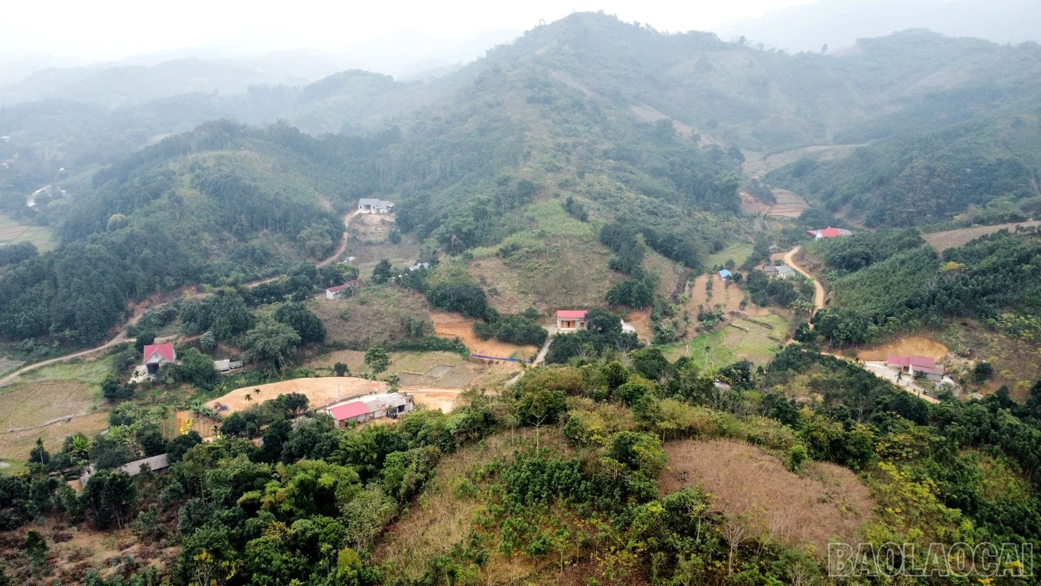 baolaocai-br_mtrk9306.jpg