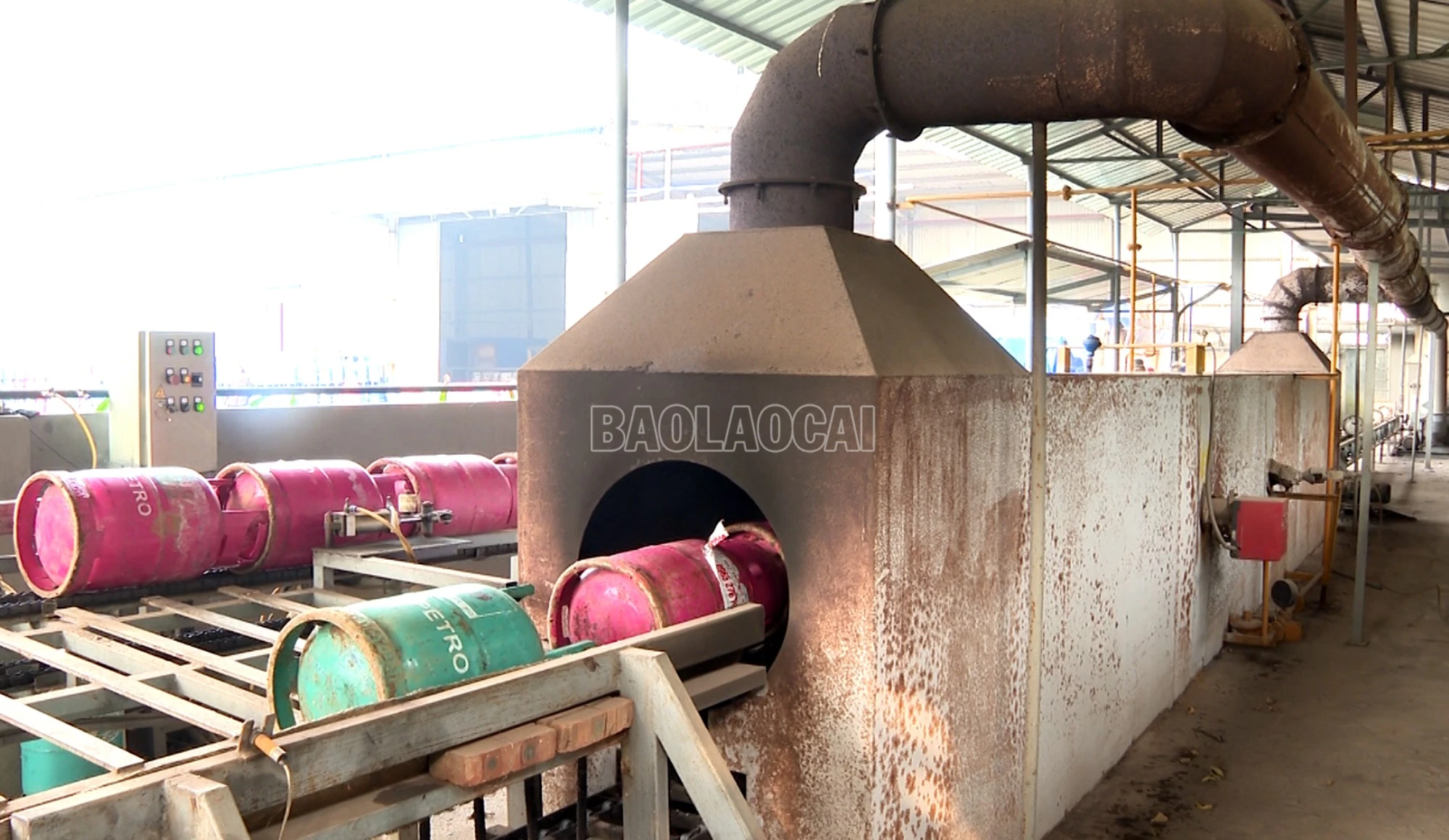 baolaocai-c_ga1.jpg