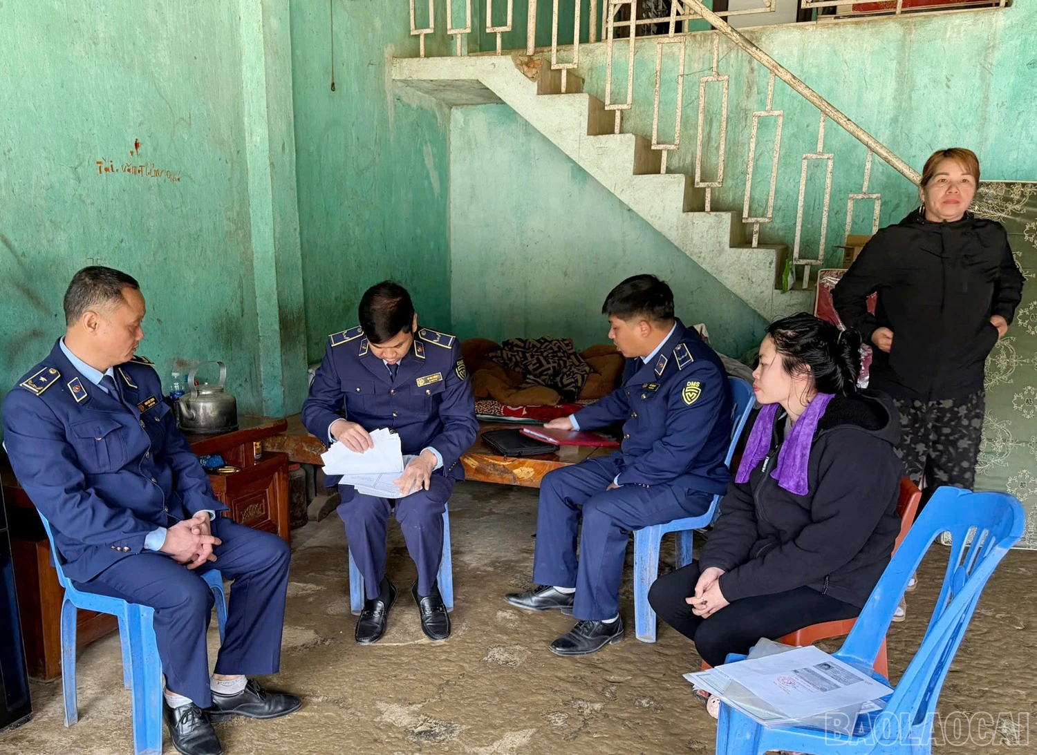baolaocai-br_z7451925636070-017457243cdc5ceba2a24fcd5a7737f4.jpg