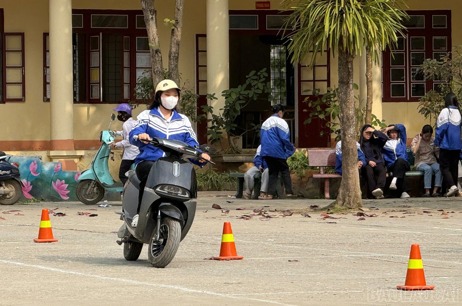 baolaocai-br_z7446816850370-13565be85057263fed77965562bcdb8c.jpg