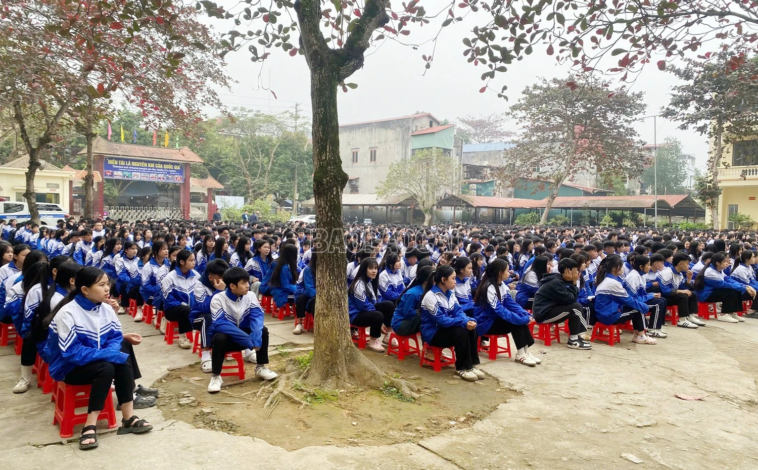 baolaocai-c_z7446071142880-7893da0d150161d5e33941847c94ca23.jpg