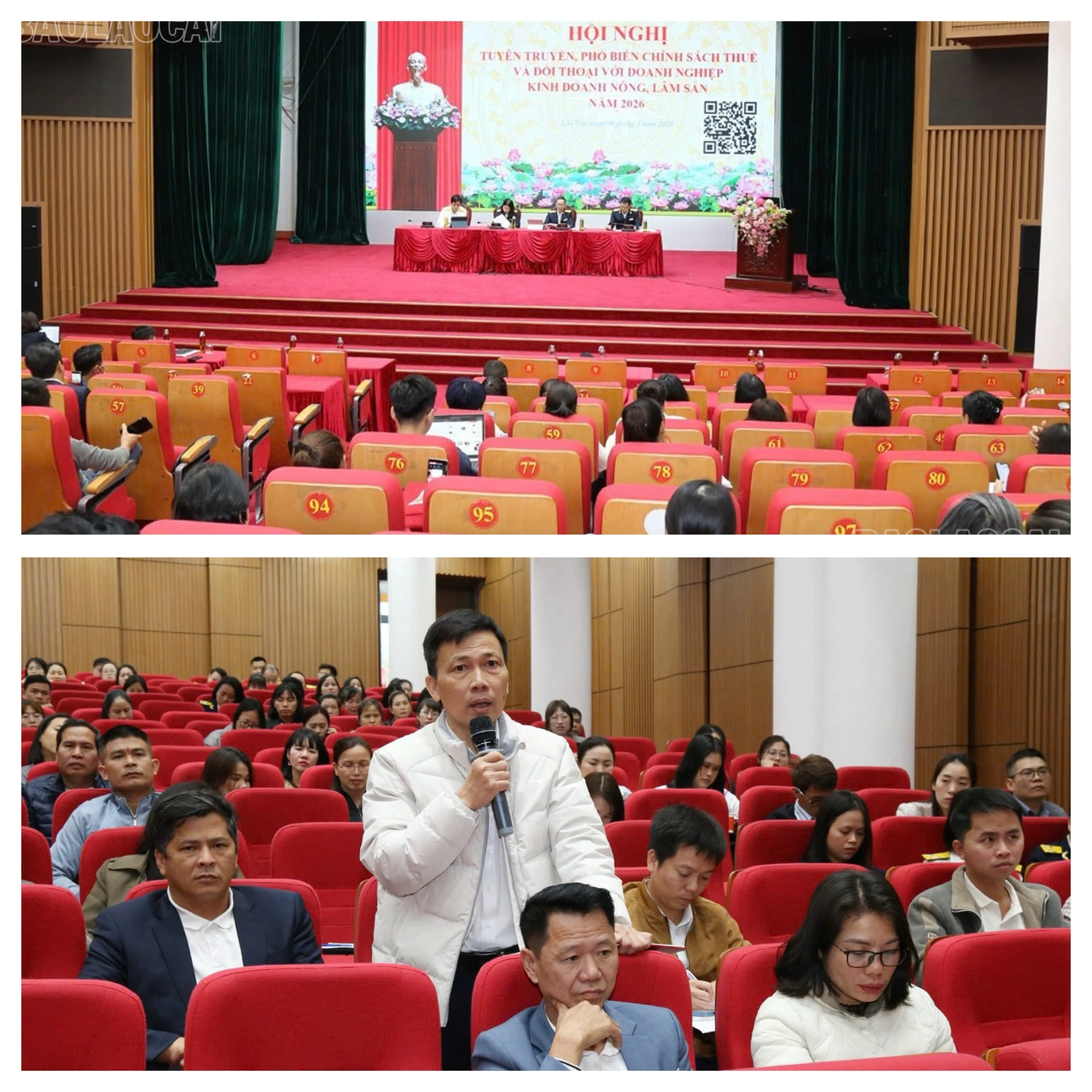 baolaocai-tl_z7628511739041-316caa61cef5af0f57164be4d23de97e.jpg
