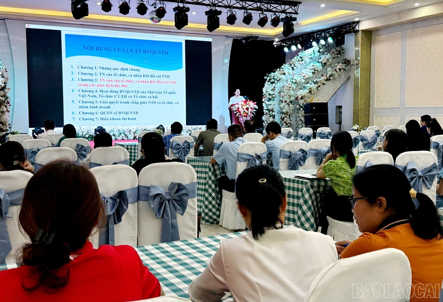 baolaocai-br_111-1.jpg