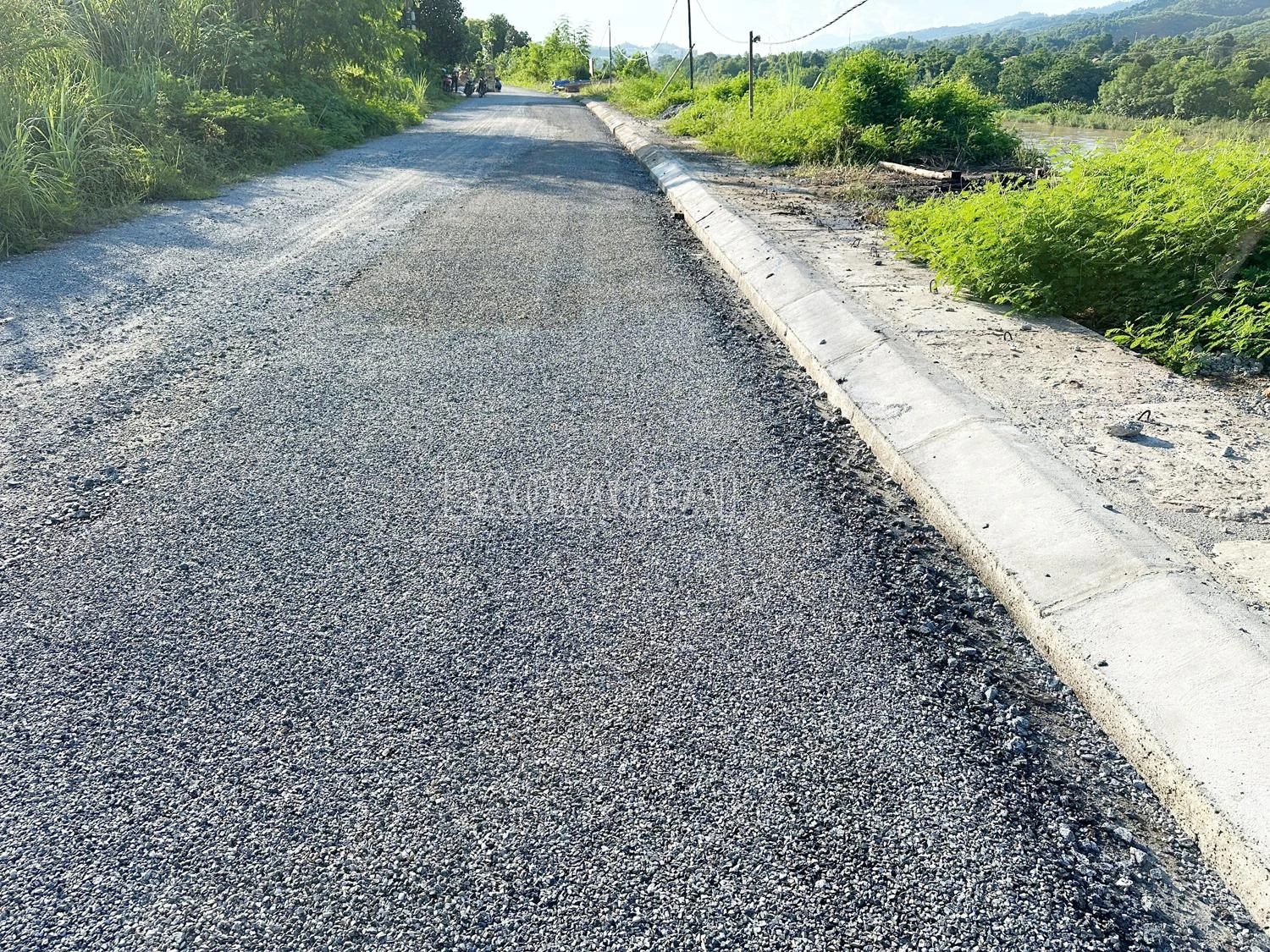222.jpg