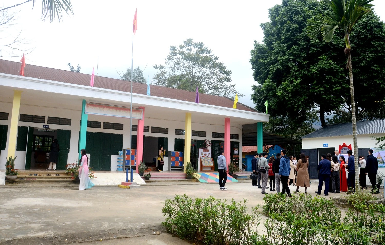 baolaocai-br_5.jpg