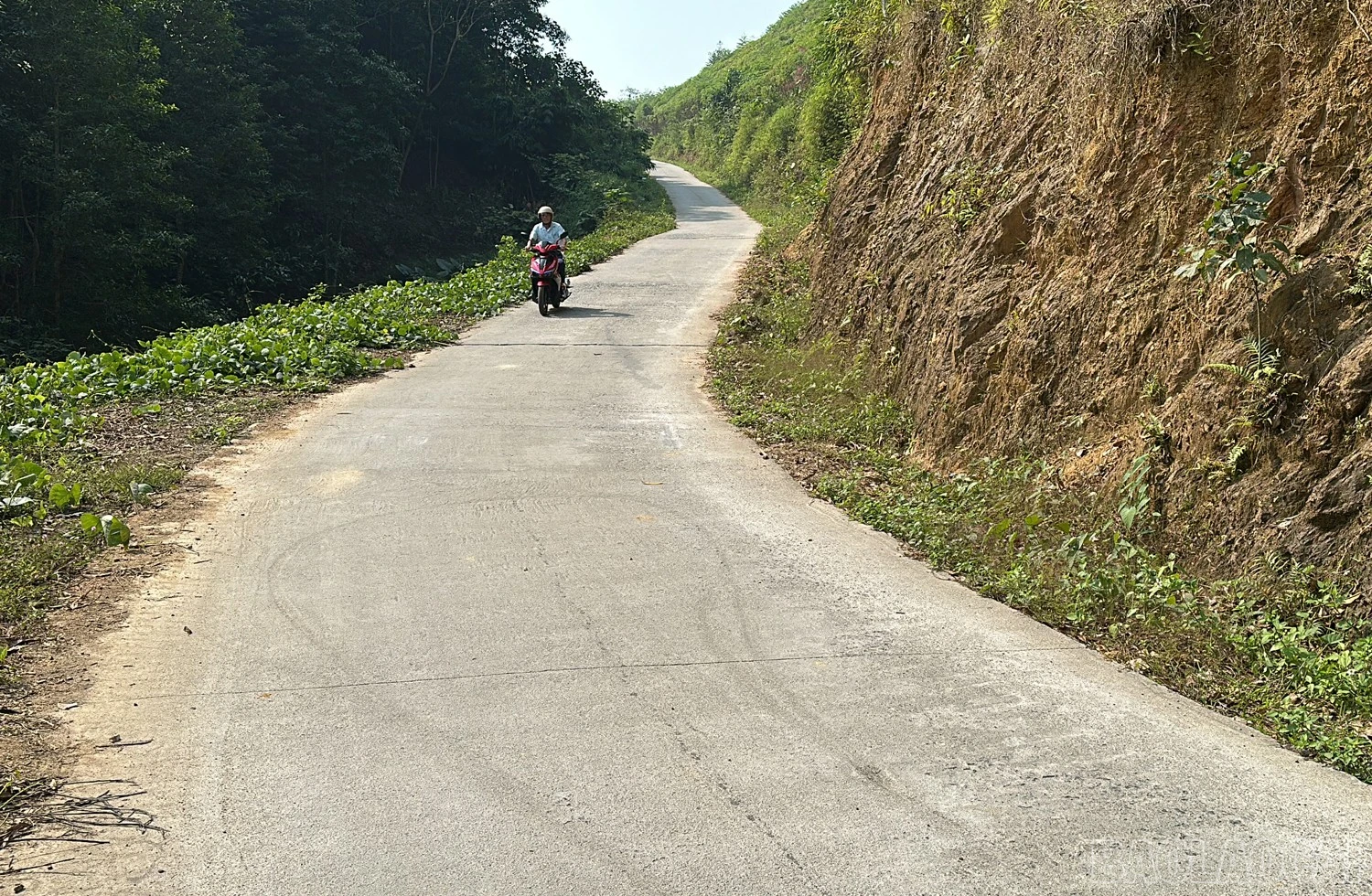 baolaocai-br_img-3669.jpg